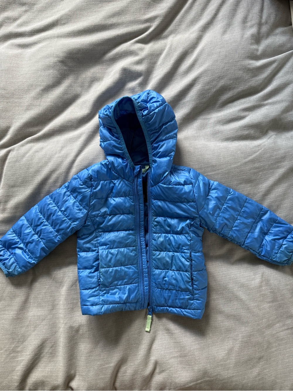Primary Bright Blue Hooded Puffer Jacket for Kids